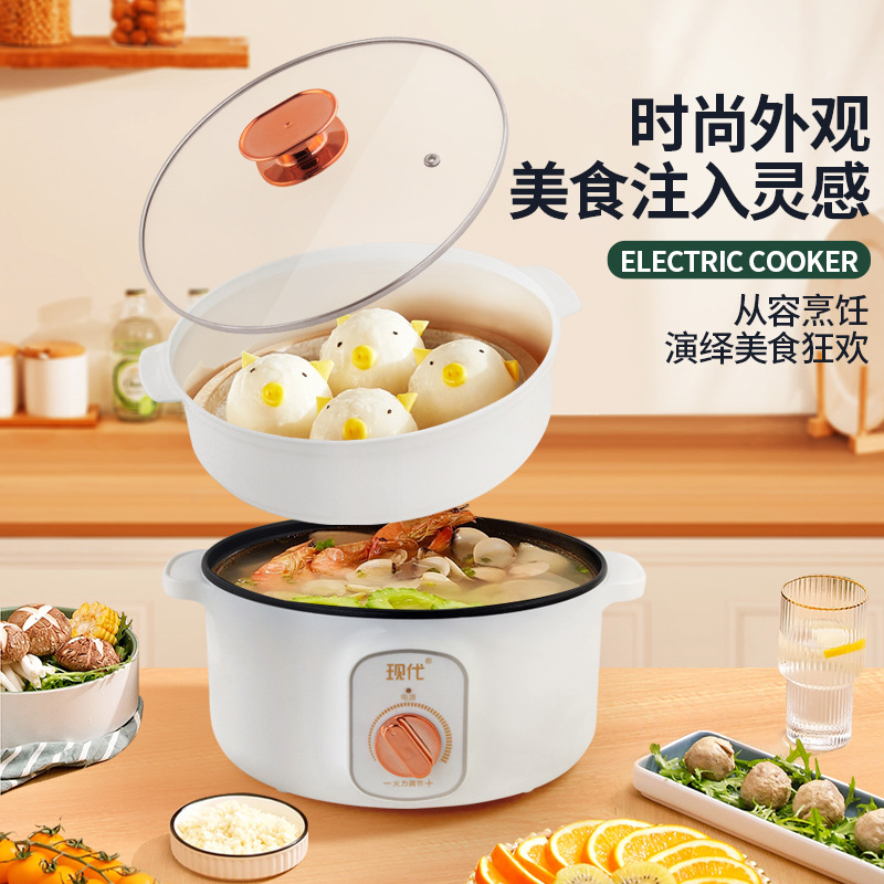 Multifunctional Mini Electric  - Home Cooking Electric ulasan dan harga