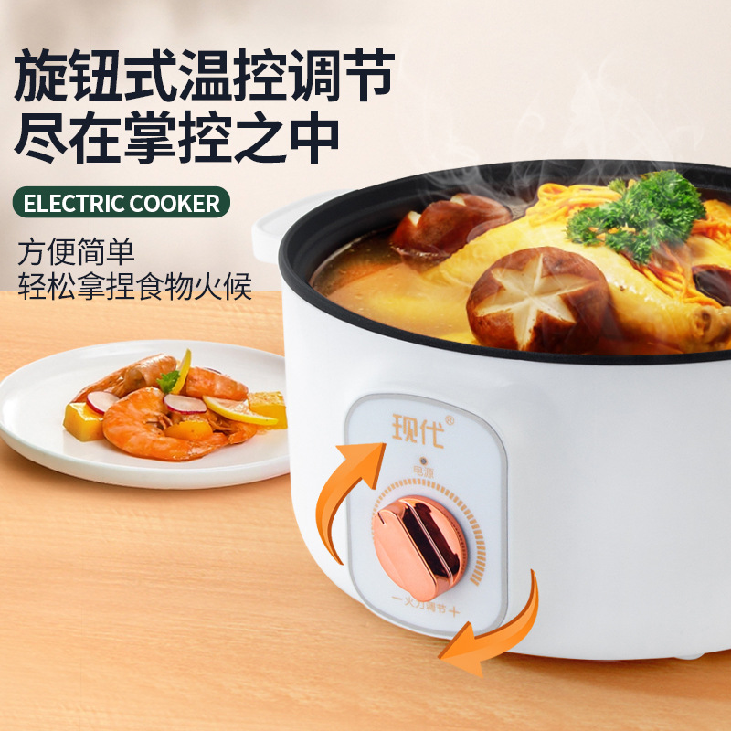 Multifunctional Mini Electric  - Home Cooking Electric ulasan dan harga